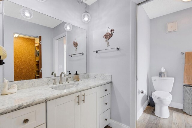 bathroom with vanity, toilet, and wood-type flooring