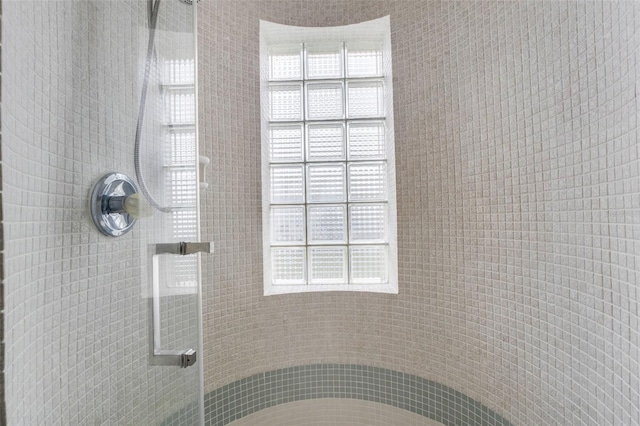 bathroom featuring a shower with shower door