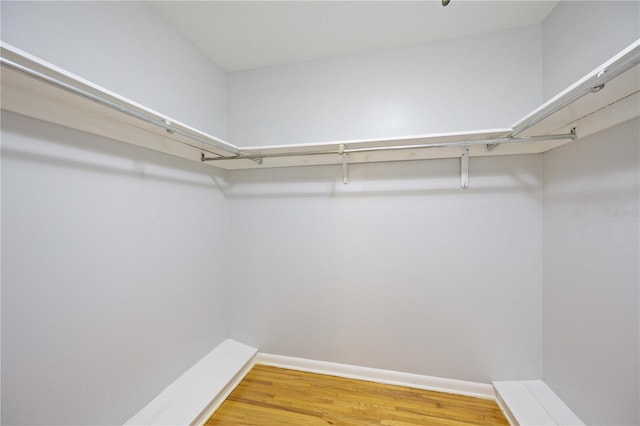 walk in closet with hardwood / wood-style floors