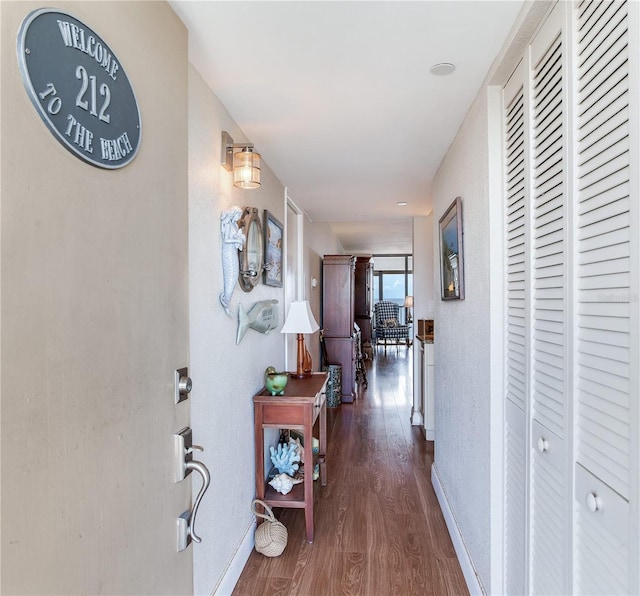 hall featuring dark wood-type flooring