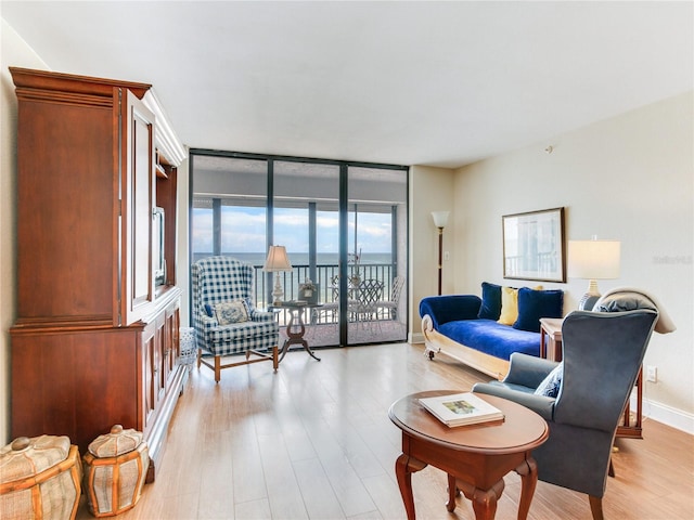 living room with light hardwood / wood-style floors