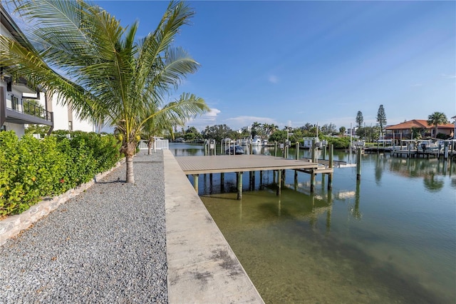 dock area with a water view