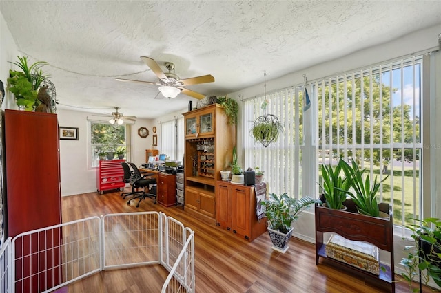 office area featuring wood-type flooring, a textured ceiling, and ceiling fan