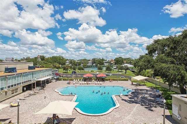 view of pool with a patio