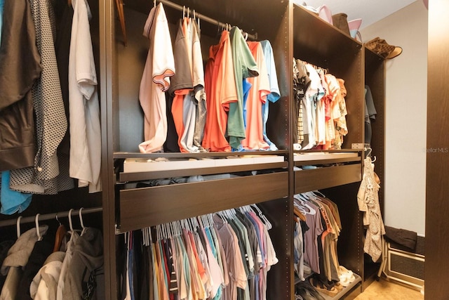 view of spacious closet