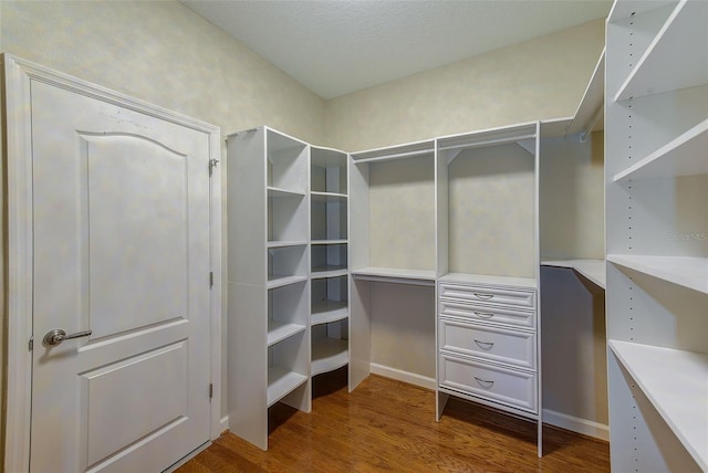 walk in closet featuring wood finished floors