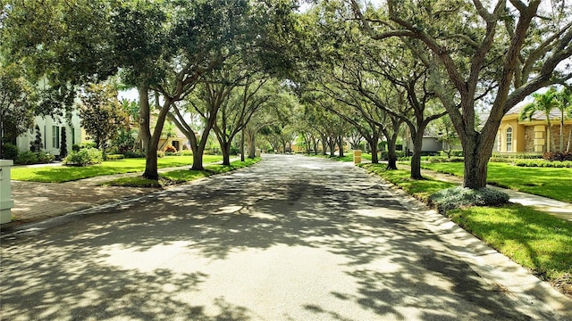 view of home's community with a lawn