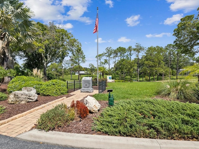 view of home's community with a lawn