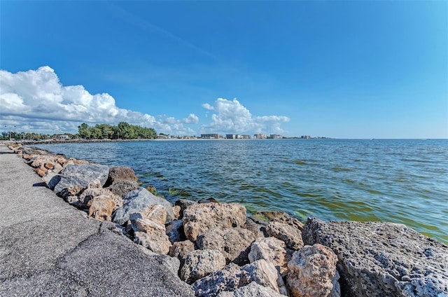 105 Dartmouth Rd, Venice, FL 34293 - photo 72