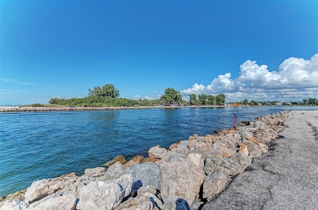 105 Dartmouth Rd, Venice, FL 34293 - photo 76
