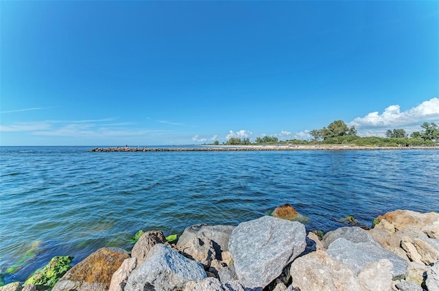 105 Dartmouth Rd, Venice, FL 34293 - photo 89