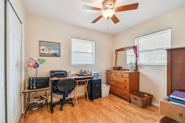 office featuring ceiling fan and light wood-type flooring