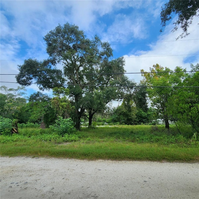 17235 Minneola Dr, Spring Hill FL, 34610 land for sale