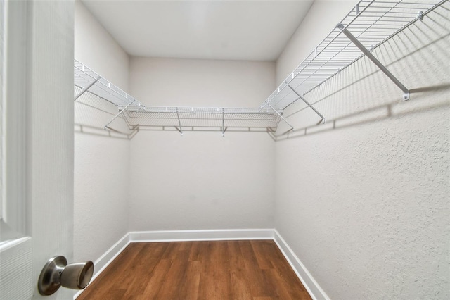 spacious closet featuring hardwood / wood-style floors