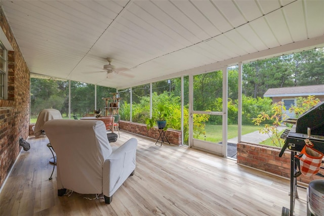 sunroom featuring ceiling fan and a wealth of natural light