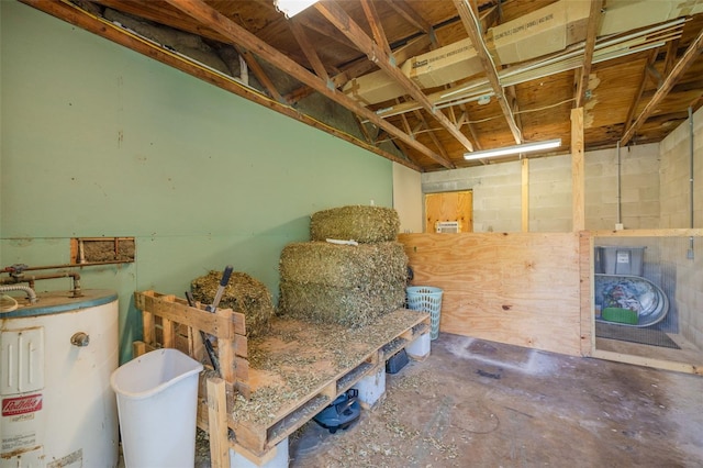 basement featuring gas water heater