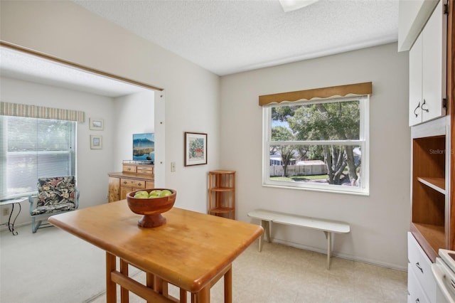 dining space featuring a textured ceiling