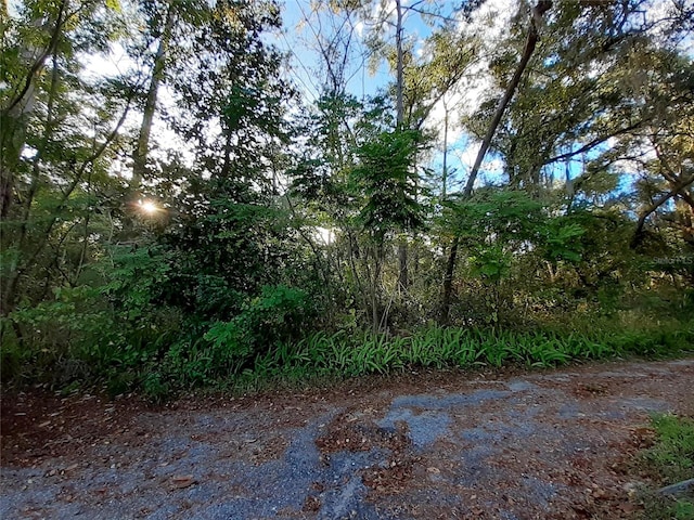 Blue Ridge Ave, Orange City FL, 32763 land for sale