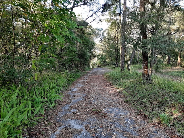 Blue Ridge Ave, Orange City, FL 32763 - photo 2