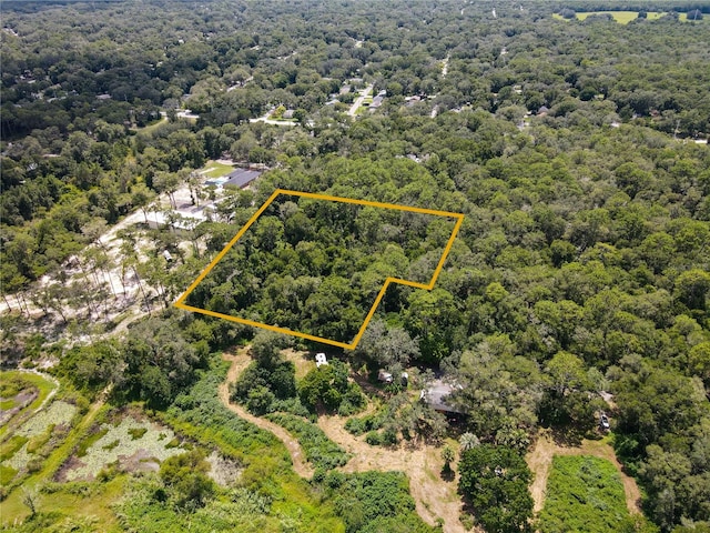 Blue Ridge Ave, Orange City, FL 32763 - photo 4