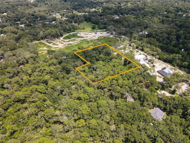 Blue Ridge Ave, Orange City, FL 32763 - photo 6
