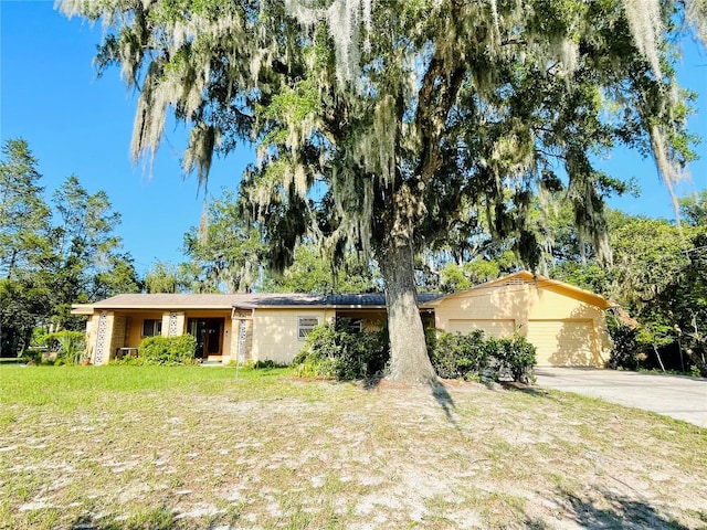 ranch-style home with a front lawn