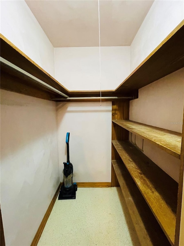 view of walk in closet