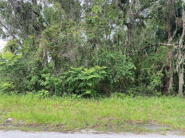 Wilson Ave, Deland FL, 32720 land for sale