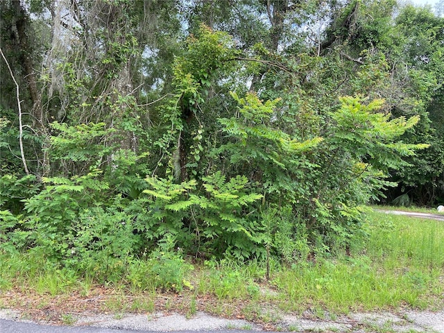 Listing photo 2 for Wilson Ave, Deland FL 32720