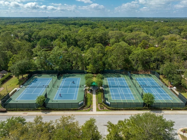 319 Ravenshill Way, Deland, FL 32724 - photo 54