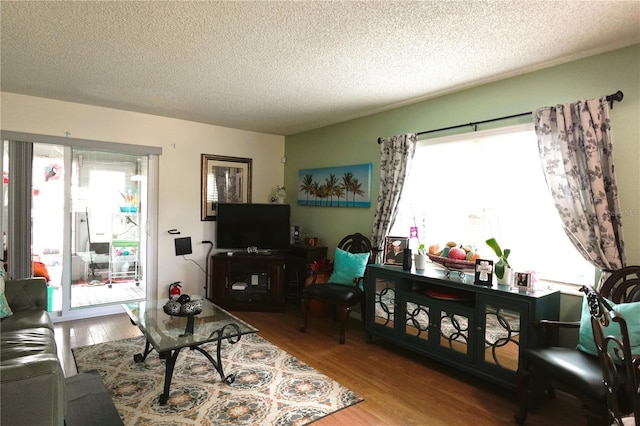 living room featuring hardwood / wood-style floors and a textured ceiling