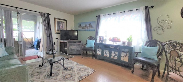 living area featuring light hardwood / wood-style floors