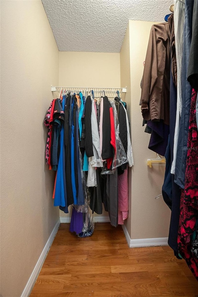 spacious closet with wood-type flooring