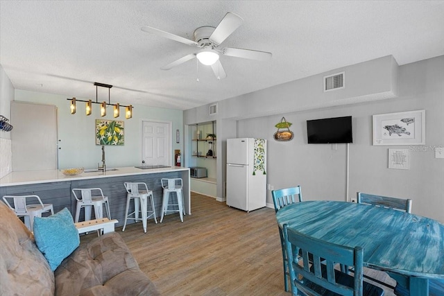 living room with hardwood / wood-style floors, ceiling fan, a textured ceiling, and sink