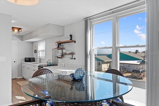 dining space featuring light hardwood / wood-style floors, a textured ceiling, a healthy amount of sunlight, and sink