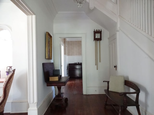 hallway featuring ornamental molding and dark hardwood / wood-style floors