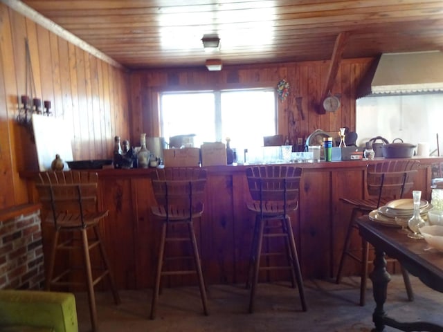 bar featuring wooden walls