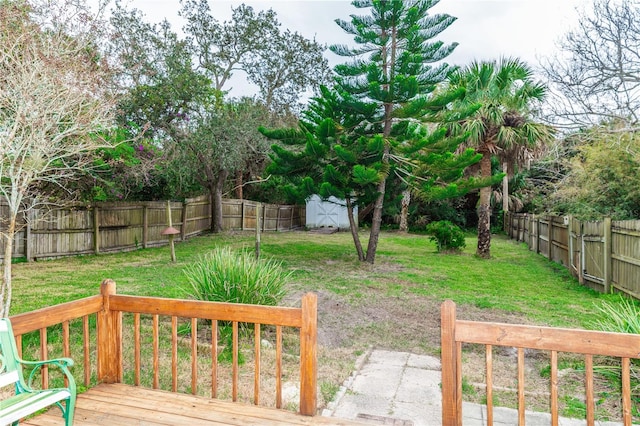 view of yard featuring a storage shed