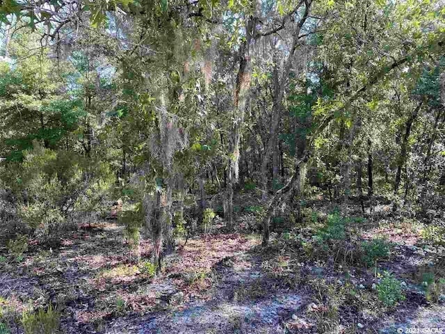 113 Tifton St, Interlachen FL, 32148 land for sale