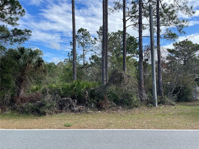 Royal Trail Rd, Eustis FL, 32736 land for sale