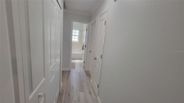 hall featuring light hardwood / wood-style floors and crown molding