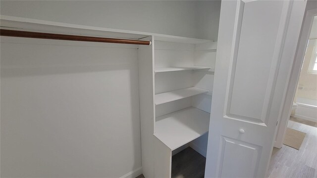 view of closet