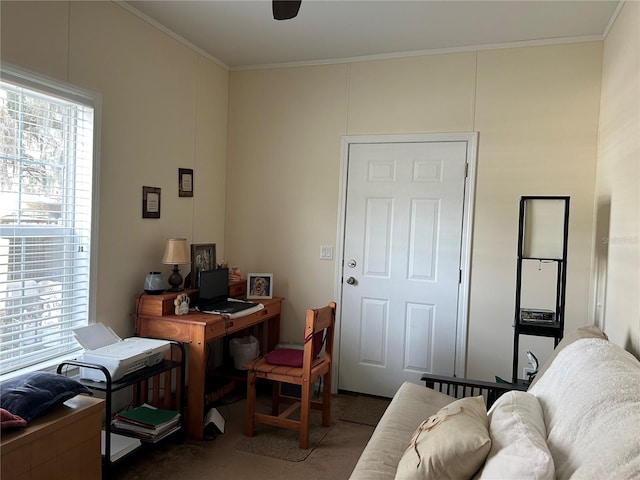 carpeted office with ceiling fan, a healthy amount of sunlight, and ornamental molding