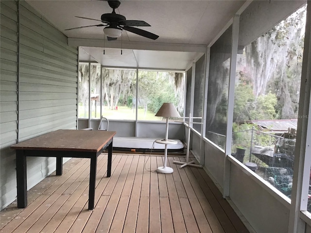 sunroom / solarium featuring ceiling fan