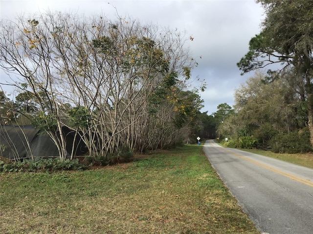 Lake George Rd, Seville FL, 32190 land for sale