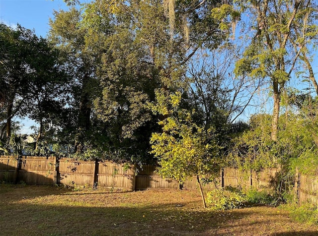 view of local wilderness