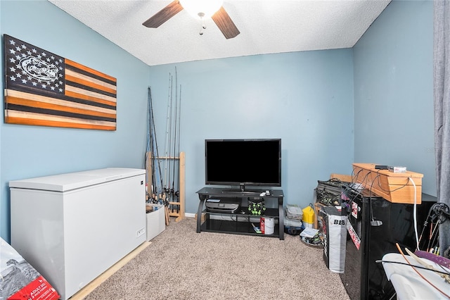 interior space featuring light colored carpet, ceiling fan, and a textured ceiling