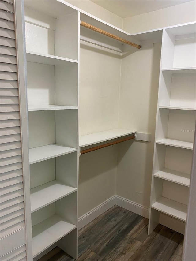 spacious closet featuring dark hardwood / wood-style flooring