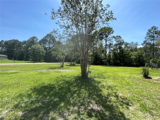 4222 Oleander Ave, Bunnell, FL 32110 - photo 29