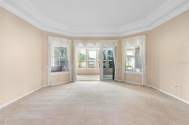 carpeted spare room with ornamental molding